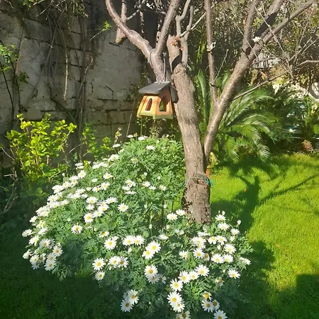 Apartmán Mare Sunrise Bari