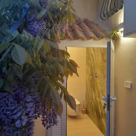 Apartmán Mare Sunrise Bari